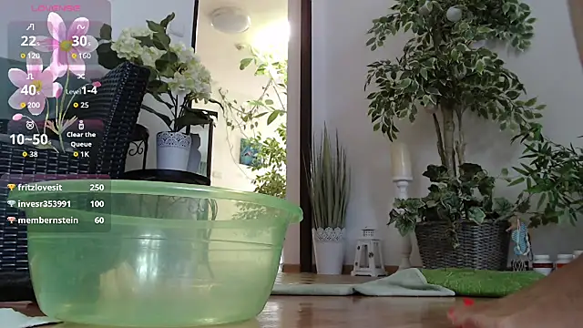 Squirtmania webcam