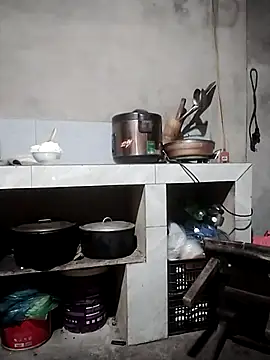 phlin1 webcam