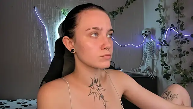 Elastikisss webcam