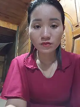 Td3di webcam