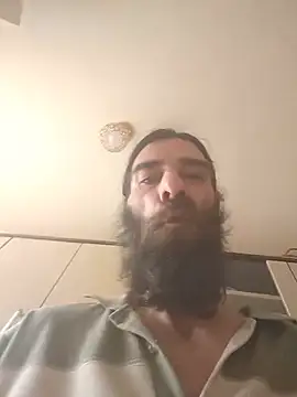 vulpe8400 webcam