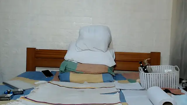 awild_kitten webcam