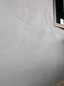 Harper_hi webcam