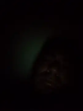 ixam92 webcam