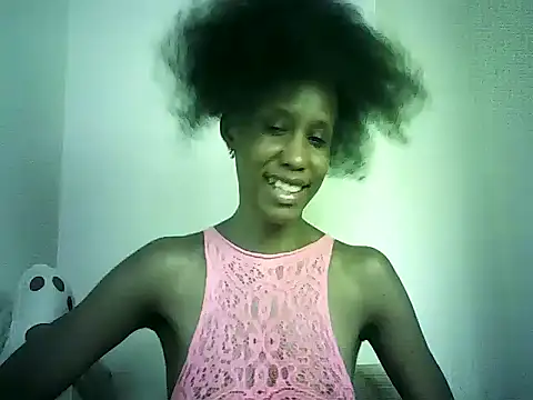DelteAfriq webcam