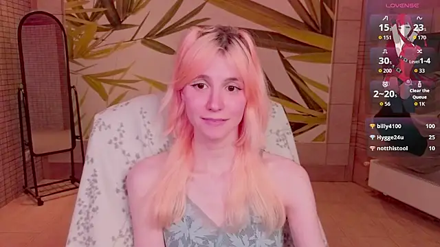 fleximona webcam