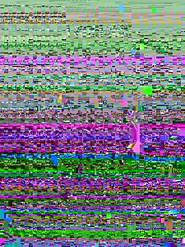 SalomeFerrer webcam