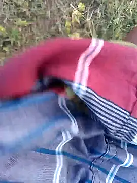dolphiinn's live cam
