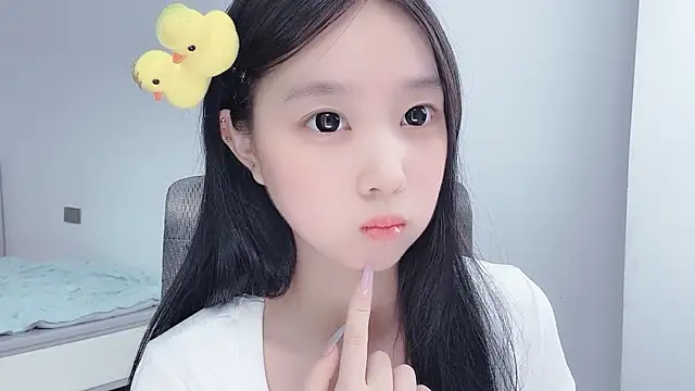 Yoyo33355 webcam
