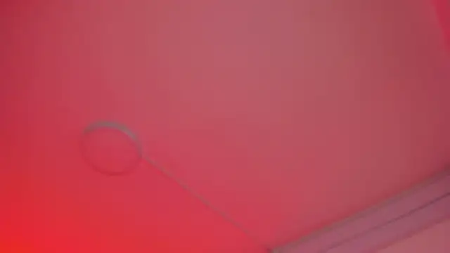 bonnieAn webcam