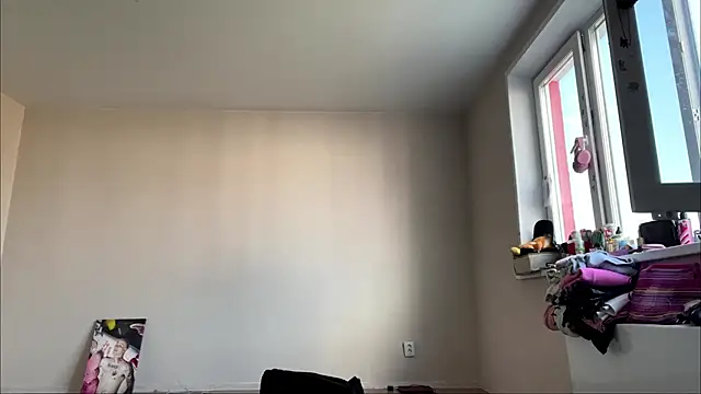 SoagAlexa webcam