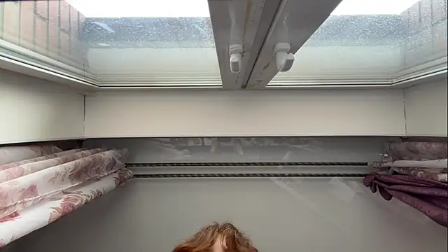 BuzzingRaid webcam
