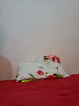 altinya webcam