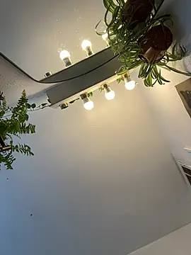 crashnasty webcam