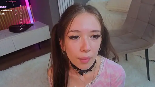 tinyanie webcam
