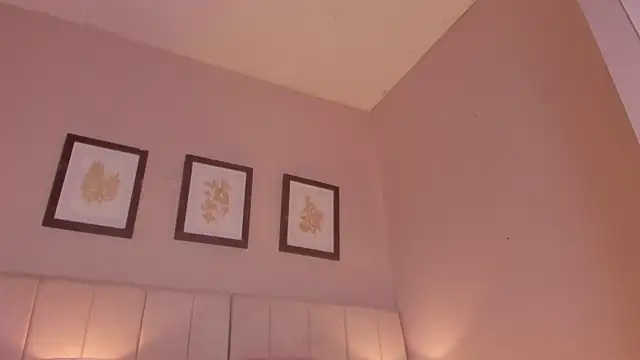 key_x webcam