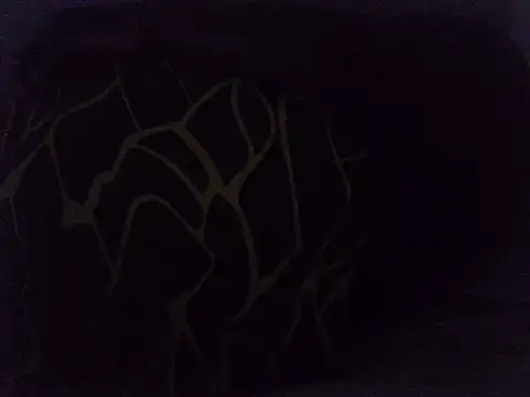 Liliana29