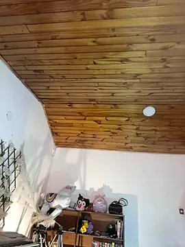 NikkiNix webcam