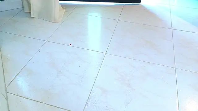 ale_cam webcam
