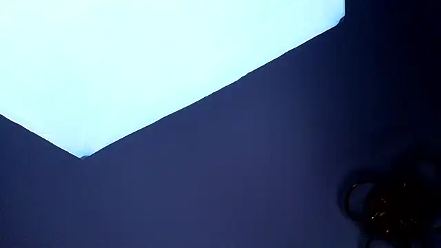 PerryKitty webcam