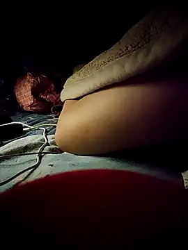 -Tara-a webcam