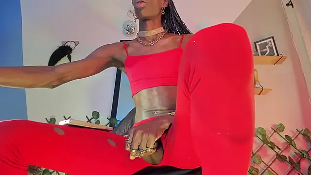 Aria_fitness webcam