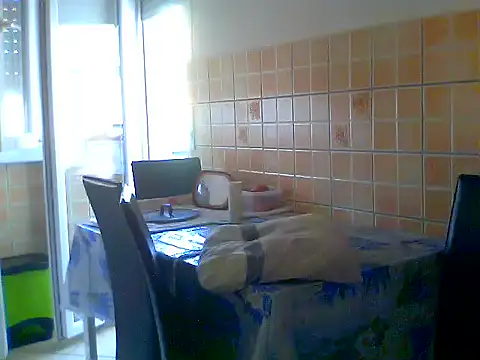 Alaska-perla webcam