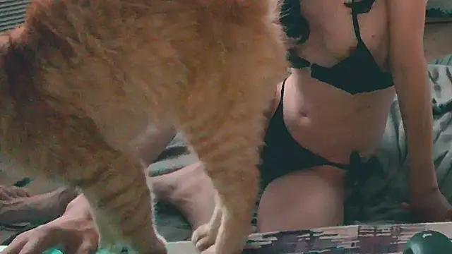 CeriseLapine live cam on StripChat