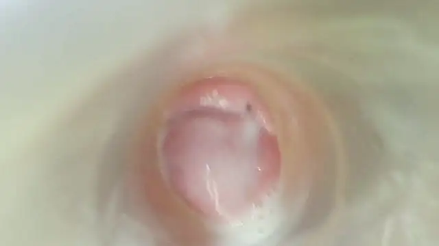 karol_stom