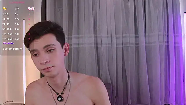 VicenteFerrer webcam