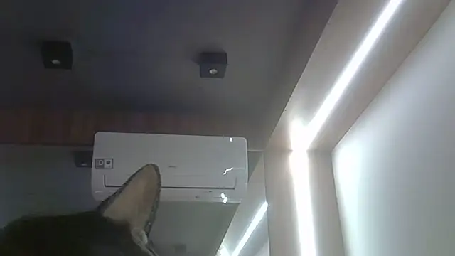 skinnykitten - SkinnyKitten's free webcam - UK Sex Cams
