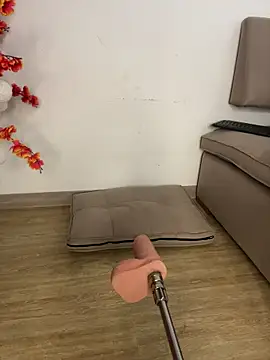 VictoriaHiill webcam