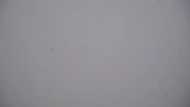 GailVerbeke webcam