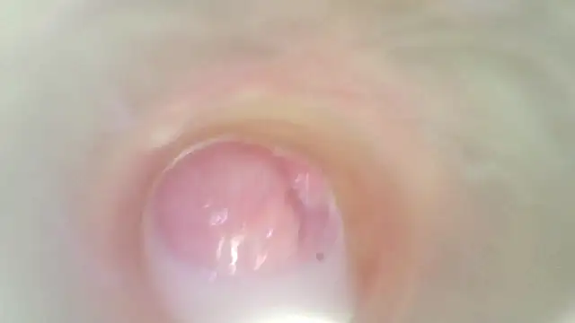 karol_stom webcam