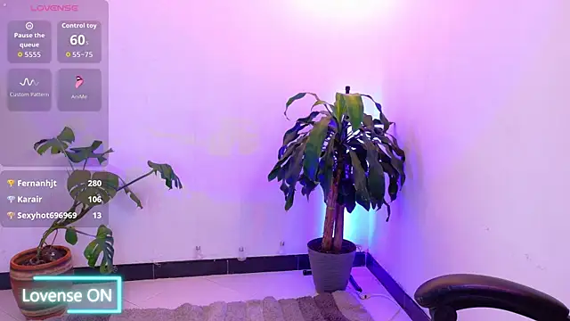 Sarasavage webcam