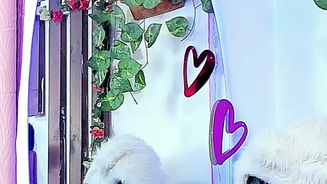 MeowMota_ live webcam