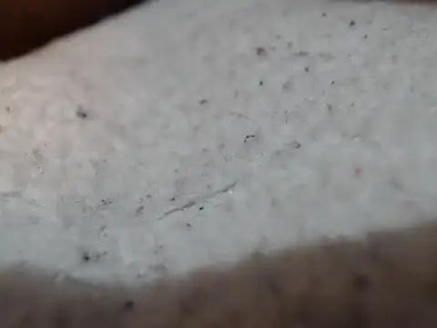 thomass1018 webcam