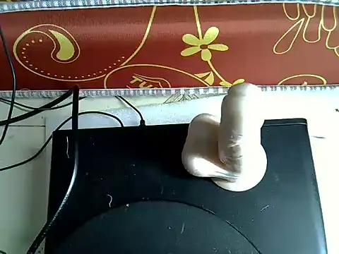 Slim_camilla webcam