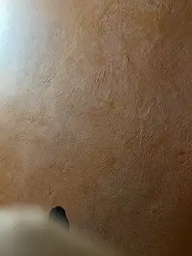 alan199716 webcam