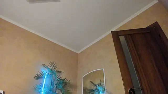 Diamond_D_ webcam