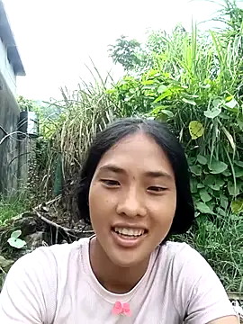 Hoa-tuylip