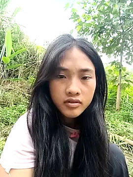 Hoa-tuylip