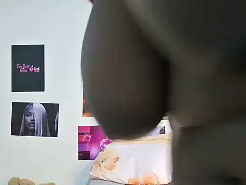 Aria_ah webcam