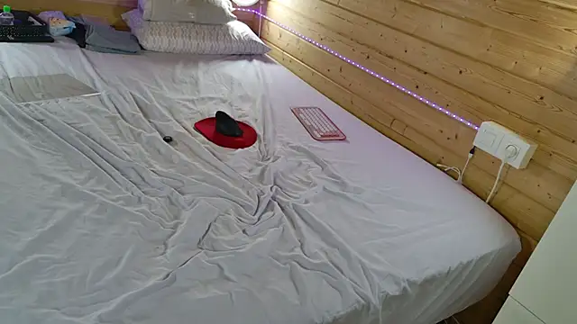 wild41 webcam