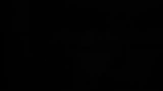 Aurora_Real webcam
