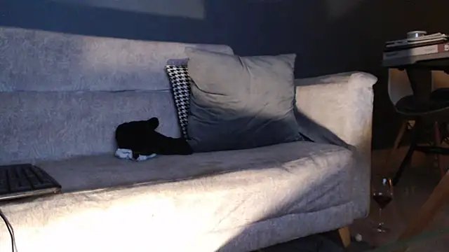 dirty_27cms webcam