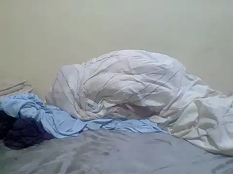 monlight_ webcam