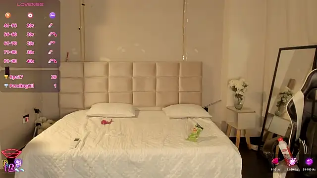 Heicy_ webcam