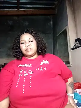Moretl webcam