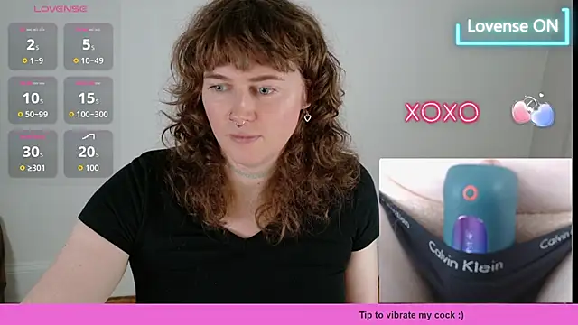 tsellieryder webcam